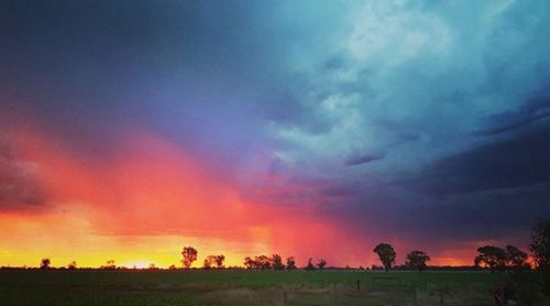 A storm front rolls in over Aspley in Victoria (Instagram/rachmillywilly)