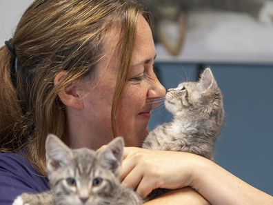 The Cat Protection Society of Victoria is seeing an increase in pet surrenders.