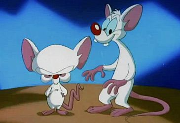 Pinky and the Brain debuted in 1993 as recurring characters in which series?