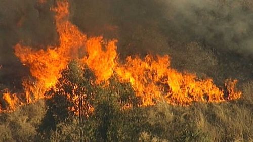 Wind speeds in excess of 45km/h are expected to make containment efforts more difficult as firefighters battle up to 75 blazes.