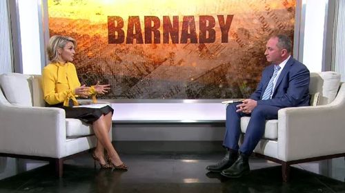 Former deputy prime minister Barnaby Joyce has sat down with Georgie Gardner to discuss his struggles with mental health. Picture: 9NEWS.