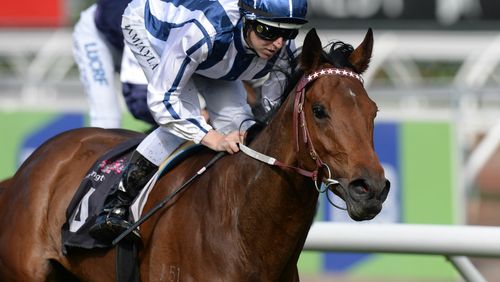 Amelie's Star is tipped to run second. (Image: AAP)