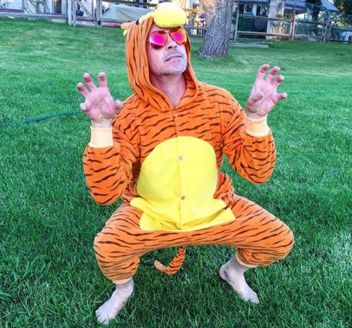 Downey Jr responded to the post dressed as Tigger from Winnie the Pooh. (Instagram)