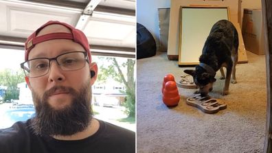 Left: Jeff, a vet, talking to the camera| Right: Jeff's cattle dog eating from a puzzle feeder