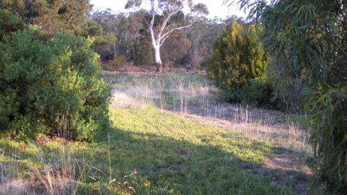 Mr Hopkins' first block purchase in Tasmania. (Supplied)