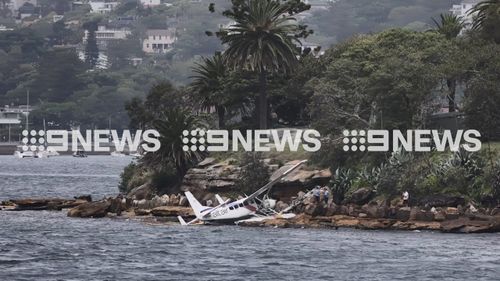 Seaplane sydney harbour shark island