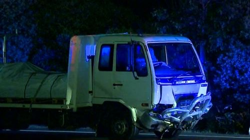 A woman has died in a head-on crash with a truck at St Clair.