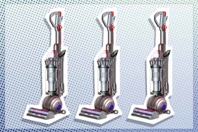 9PR: Dyson Ball Animal Origin Upright Bagless Vacuum