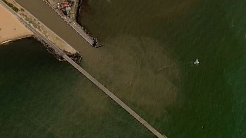 Poor water quality ratings were recorded at five Melbourne beaches. (9NEWS)