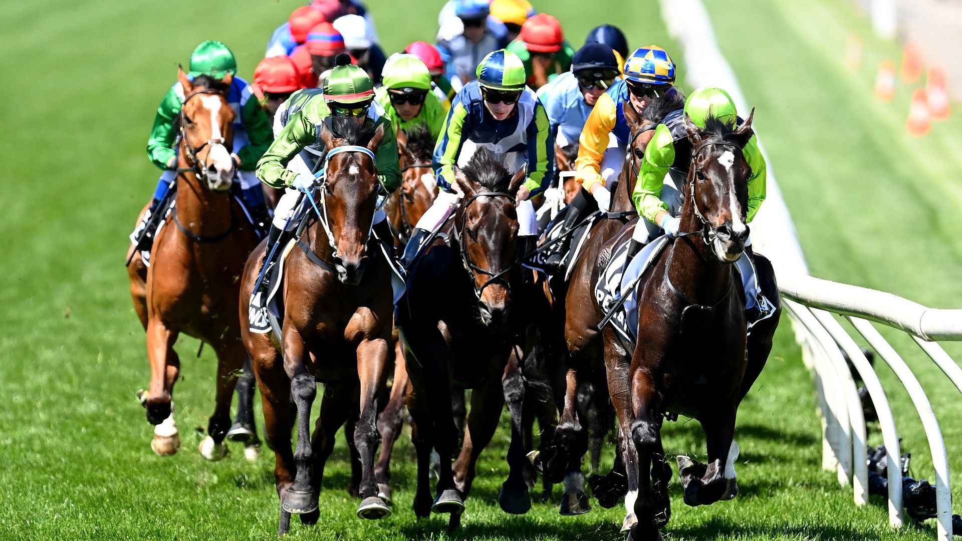 Melbourne Cup full finishing order: Where your horse finished in 2021 race