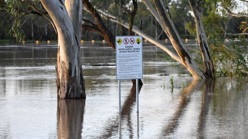 The Balonne river is expected to break its banks and peak over 12 metres on Thursday, causing floods. 