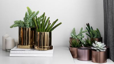 The key to making faux plants work as stylish décor
