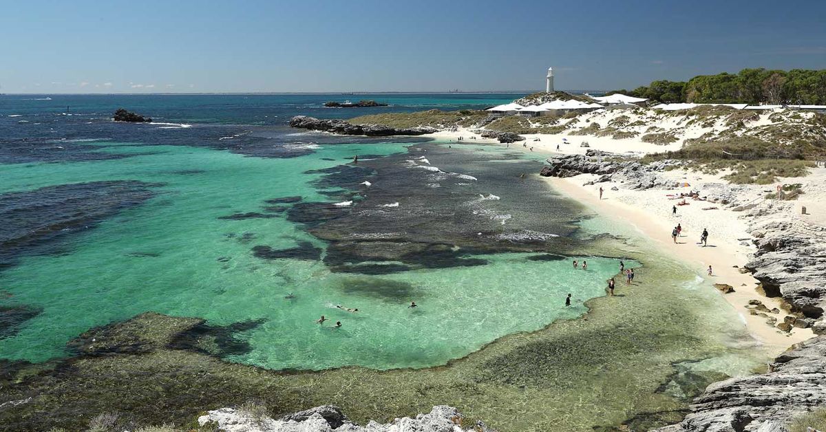 Man in a critical condition after shark attack on WA's Rottnest Island