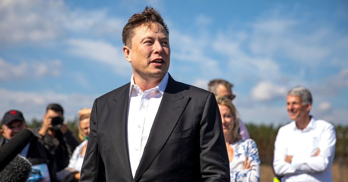 Elon Musk wants to ‘authenticate all real humans’ on Twitter. Here’s what that could mean – 9News
