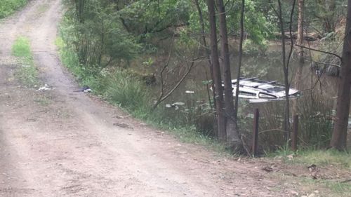 A man is in custody after his car plunged into a dam in Healesville, Victoria. (9NEWS)