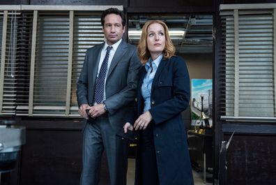 David Duchovny and Gillian Anderson star in The X-Files. 