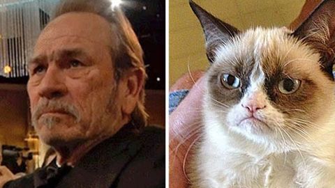 Watch: Tommy Lee Jones is the ultimate real-life 'Grumpy Cat'