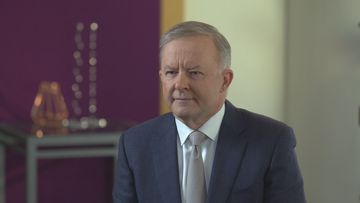 Labor leader Anthony Albanese says the critique of Scott Morrison as a &quot;pathological liar&quot; is coming from his own party. 