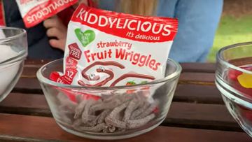 The Kiddylicious Strawberry Fruit Wriggles have been named among the worst products in Choice&#x27;s annual Shonky Awads.