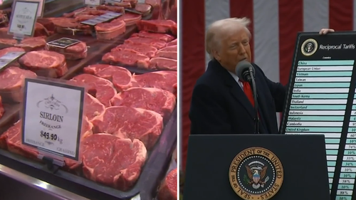 Nationals leader David Littleproud says agriculture minister did not consult scientific advisory group on US beef ban