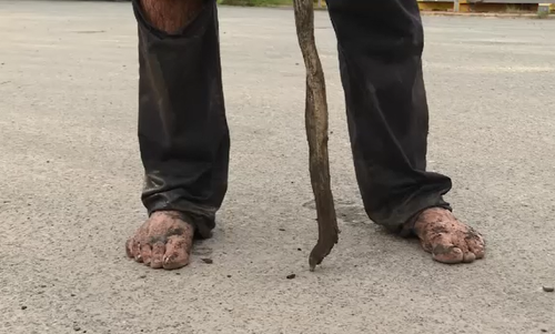 While he wasn't injured, his feet were a bit dirty. (9NEWS)