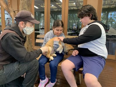 Giovanni and Caterina meet a baby dingo at the zoo.