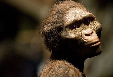 Where was the 3.2 million-year-old hominid fossil Lucy found?