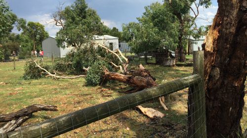 Severe thunderstorms wreak havoc across Victoria