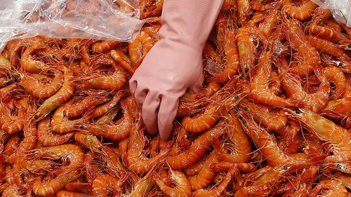 Fifth Queensland prawn farm tests positive for exotic virus