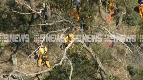 Woman and dog rescued after they fell from cliff in Mount Eliza