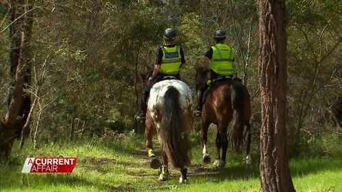 Volunteers will help police with a ground search of a 300m radius around the Curry family holiday home today. (9NEWs)