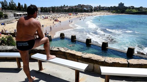 Dr Leah Gibbs believes that active monitoring of beaches by lifesavers is part of a range of appropriate management strategies.