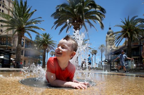 It was a day in the water in Adelaide, with temperatures reaching 41 degrees.