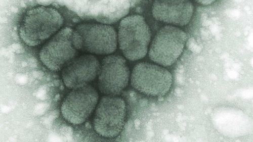 US regulator's nod for smallpox drug