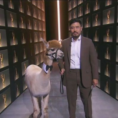 Randall Park and his alpaca at the Emmys.