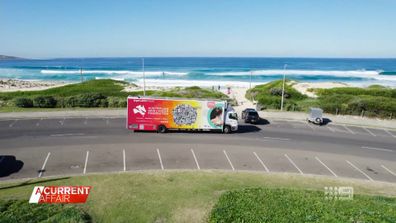 A truck offering free skin cancer checks saved a young boy who was unknowingly living with melanoma on his ear.﻿