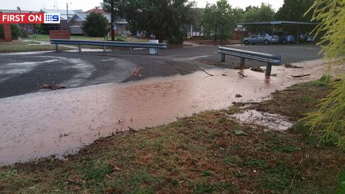 The SES said they have responded to at least 23 calls since the storm started. (Facebook: Cassy Tanke)