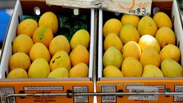 Kensington Pride mangoes. (AAP)