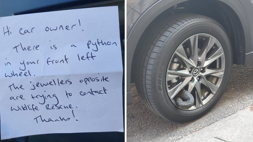 David returned to the car and saw the note indicating a python was hiding in his wheel.