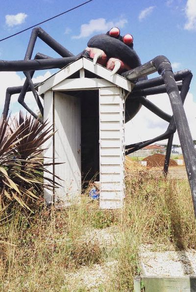 <strong>Eight Mile Plains, Australia: Giant Redback Spider</strong>