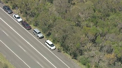 Vehicles at the scene.(9NEWS)