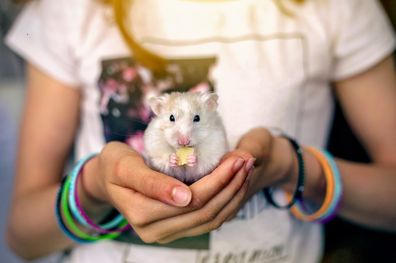 Girl holding a hamster.
