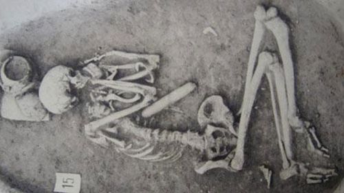 Ancient ancestors would out-do elite athletes