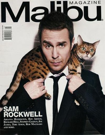 Stars and their cute kitties!<br/><br/>Covercat