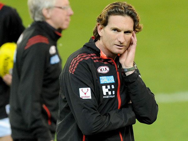 Essendon coach Hird 'very dopey' after cycling accident