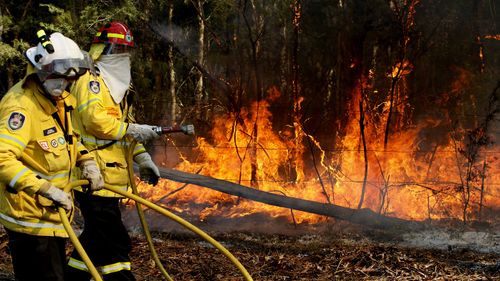 Almost 1200 firefighters are tackling large bushfires on the NSW mid-north coast among scores of blazes around the state. (AAP Image/Darren Pateman) 