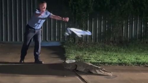 Western Australia Police and rangers tried to wrangle a wild crocodile with nothing but a wet towel after it became stranded following flooding in Fitzroy Crossing.