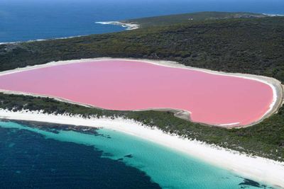 This Melbourne Lake Just Turned Bright Pink 9travel 10 Of 14attribution Shutterstock