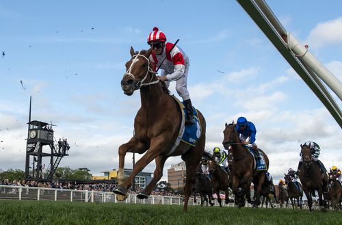 Is Melbourne Cup a public holiday - Figure 2