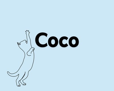 3. Coco